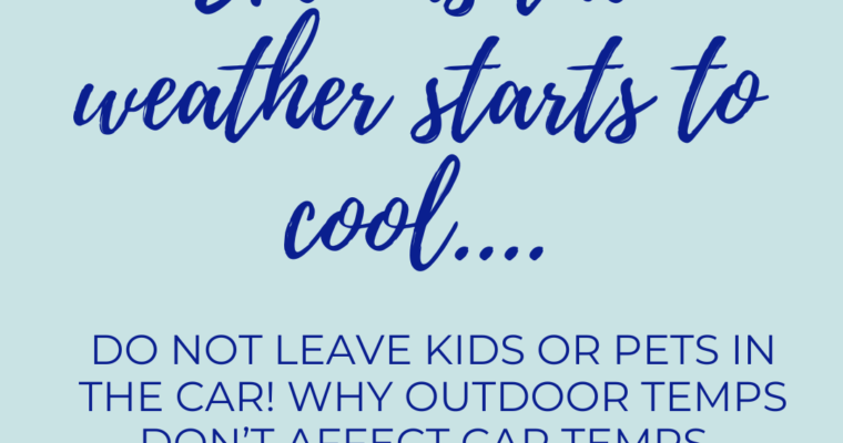 Leaving Kids In Car is Dangerous (+ for pets) – Even in Cooler Weather